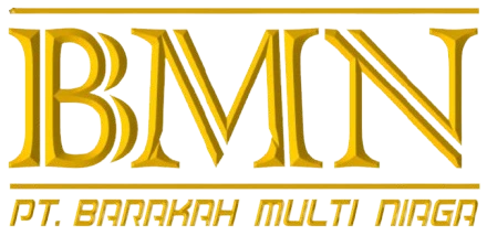 logo bmn